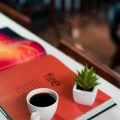 Boost Off-Page SEO: Content Marketing & Forum Engagement for Desi Success